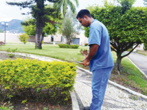 areas verdes 01