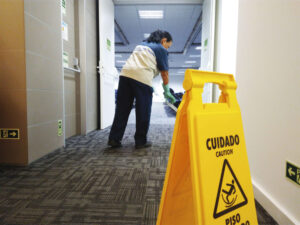 limpeza e conservacao 02